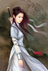 极品家丁